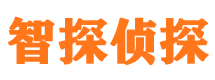 阜城侦探公司